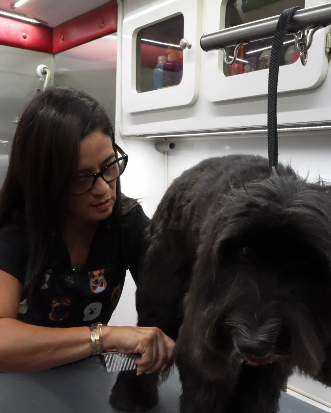 Kisses and Paws providing attentive grooming inside its mobile unit